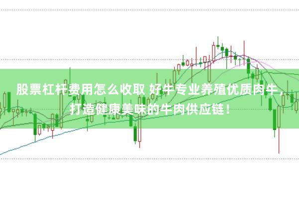 股票杠杆费用怎么收取 好牛专业养殖优质肉牛，打造健康美味的牛肉供应链！