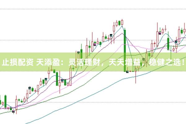 止损配资 天添盈：灵活理财，天天增益，稳健之选！