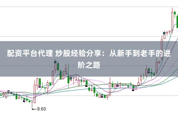 配资平台代理 炒股经验分享：从新手到老手的进阶之路
