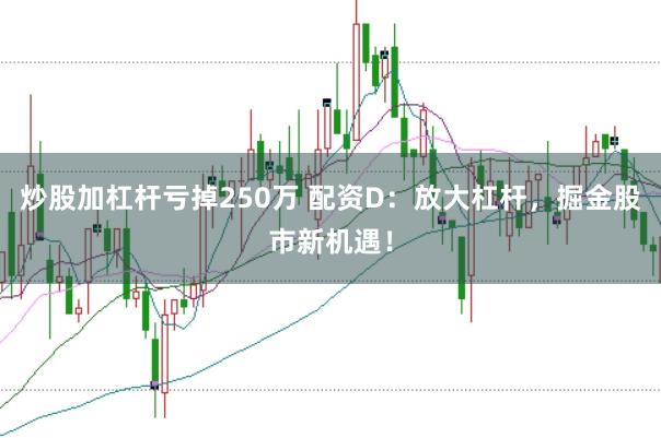 炒股加杠杆亏掉250万 配资D：放大杠杆，掘金股市新机遇！