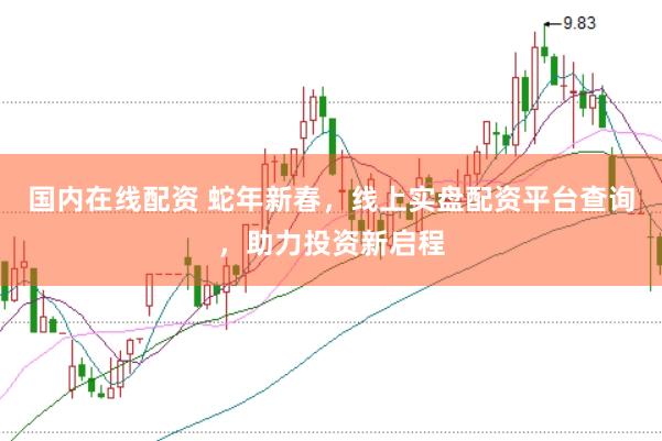 国内在线配资 蛇年新春，线上实盘配资平台查询，助力投资新启程