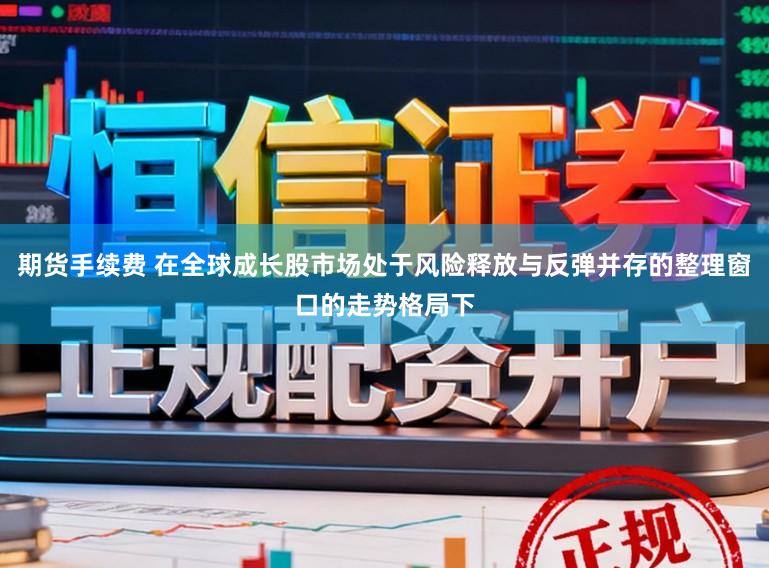 期货手续费 在全球成长股市场处于风险释放与反弹并存的整理窗口的走势格局下